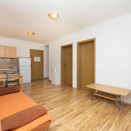 Apartmán Vojskovo I